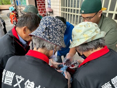 LINE_ALBUM_114.09.26-第三天_251028_5圖片