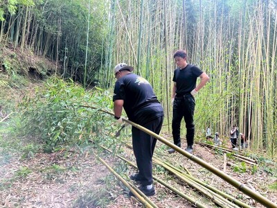 LINE_ALBUM_2026522竹林砍竹體驗_260609_4圖片